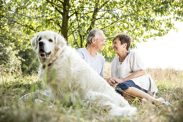 Glückliches Seniorenpaar mit Hund auf der Wiese