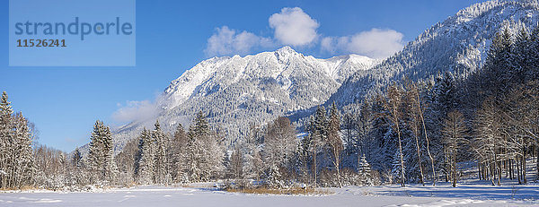 Deutschland  Oberstdorf  Moorweiher mit Rubihorn  Gaisalphorn und Schattenberg im Winter