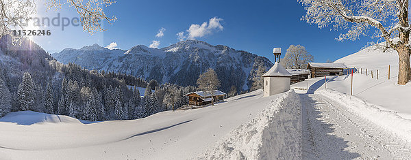 Deutschland  Bayern  Allgäu  Allgäuer Alpen  Gerstruben im Winter
