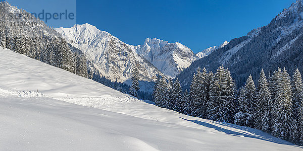 Deutschland  Bayern  Oy-Tal im Winter