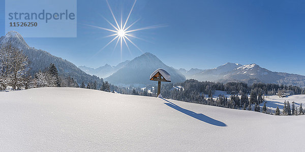 Deutschland  Oberstdorf  Oy Valley  schneebedecktes Feldkreuz bei Gegenlicht