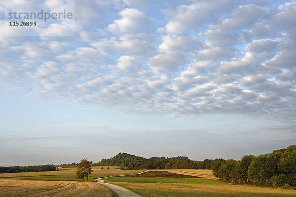 Deutschland  Bad Staffelstein  Wanderweg von Vierzehnheiligen nach Staffelberg