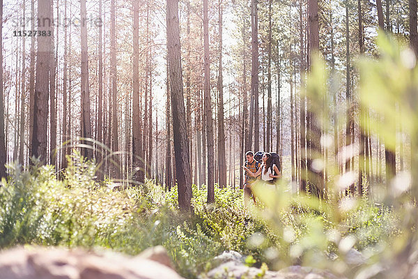 Junges Paar beim Wandern in sonnigen Wäldern