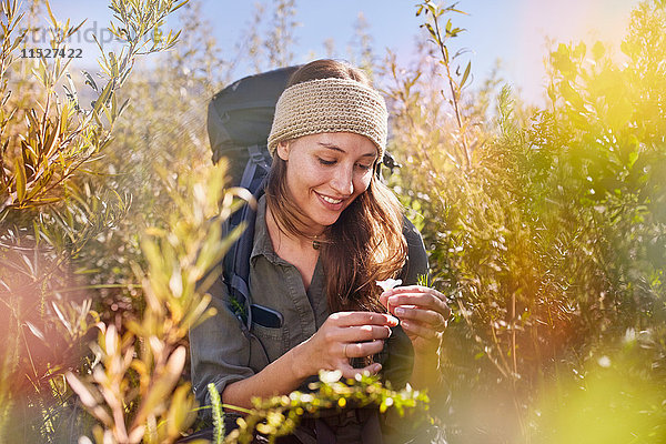 Junge Frau beim Wandern  Blumen pflücken im sonnigen Feld