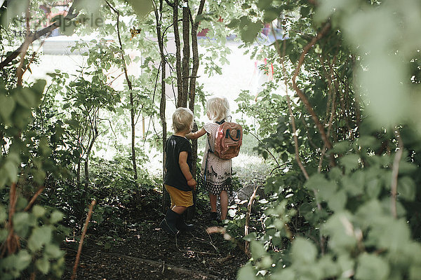 Kinder wandern durch den Wald