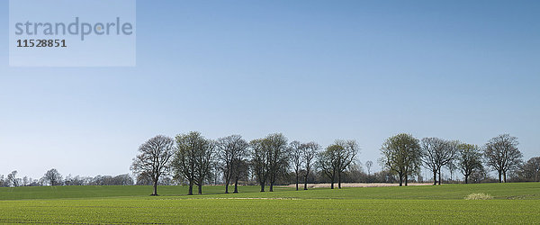 Ländliche Landschaft