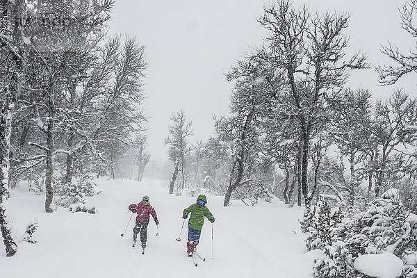 Kinder beim Schneeschuhwandern im Wald