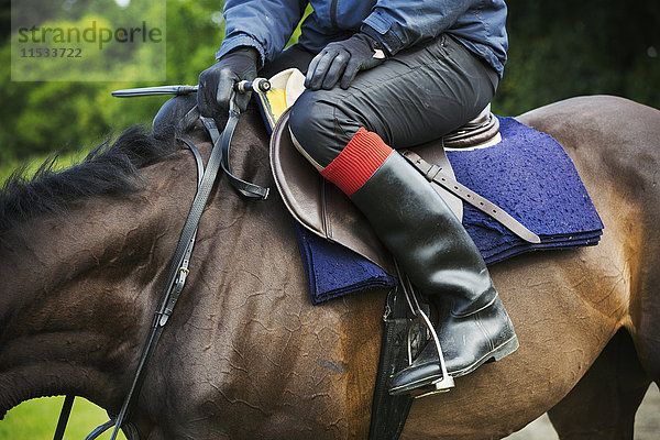 Nahaufnahme eines Reiters in schwarzen Reitstiefeln  der auf einem braunen Pferd sitzt.