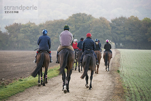 Rückansicht einer Gruppe von Reitern auf Vollblutpferden  die einen Weg entlang reiten. Rennpferde im Training. Routineübung.