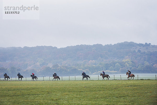 Eine Reihe von Reitern und Pferden im Galopp  die sich entlang eines Weges durch einen Zaun bewegen. Galoppierende Rennpferde.