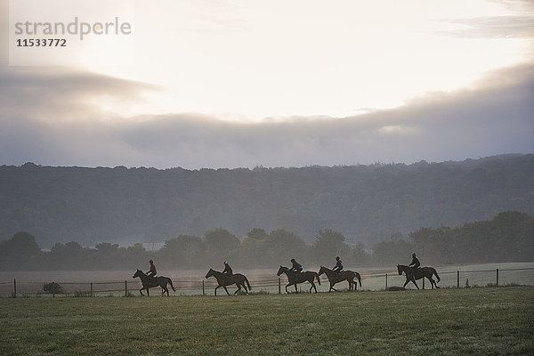 Gruppe von fünf Personen auf Pferden  die auf einem Feld unter einem Himmel mit Sonne und Sturmwolken reiten. Rennpferde im Galopp.