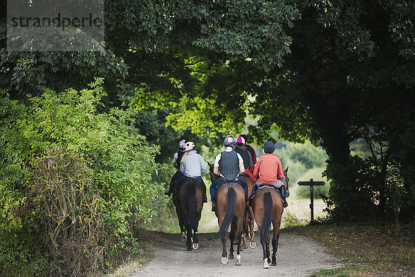 Rückansicht einer Gruppe von Reitern auf braunen Pferden  die entlang eines Weges reiten.