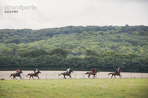 Gruppe von Menschen auf braunen Pferden  die auf einem Feld reiten.