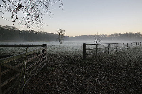 Nebel liegt auf einem eingezäunten Feld  gesehen durch ein offenes Tor.
