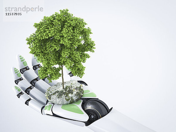 3D Rendering  Roboter Hand haltender Baum