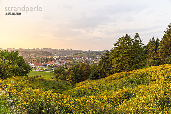 Österreich  Steiermark  Weinstraße  Blick auf Schlossberg und Leutschach im Sommer