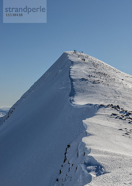 Großbritannien  Schottland  Ben Nevis  Carn Mor Dearg  Bergsteiger auf dem Gipfel