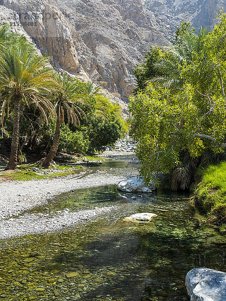 Oman  Al Hajar Gebirge  Wadi  Al-Thawarah