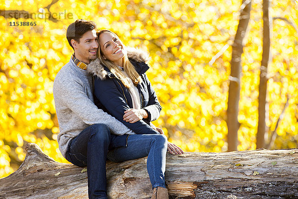 Glückliches Paar genießt den Herbst im Wald auf einem Baumstamm