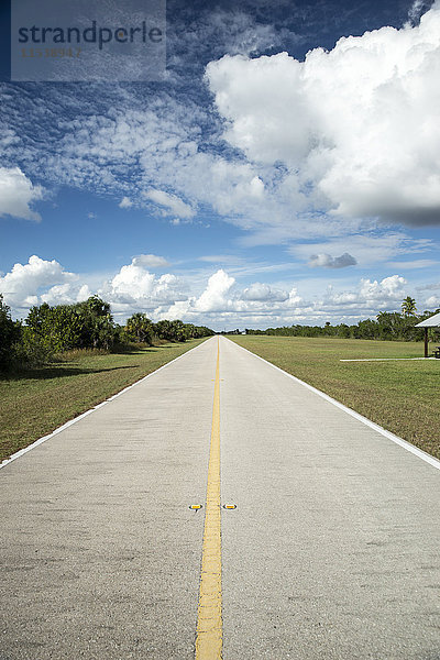USA  Florida  Everglades  Straße