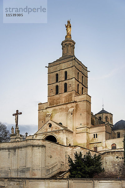 Frankreich  Avignon  Kathedrale von Avignon