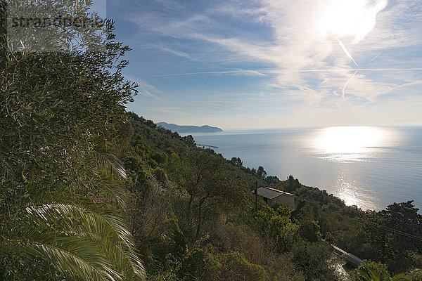 Italien  Ligurien  Riviera di Levante  Chiavari  Mittelmeer