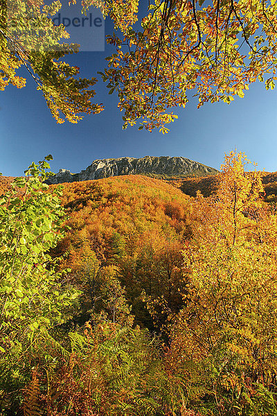 Spanien  Asturien  Naturpark Fuentes del Narcea  Degana und Ibias im Herbst