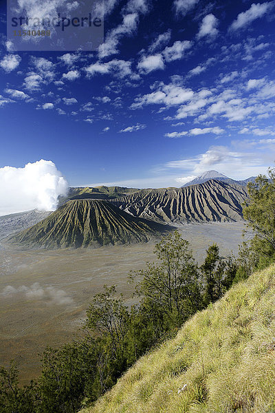 Indonesien  Java  Vulkane Bromo  Batok und Semeru