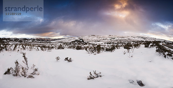 Spanien  Galizien  Trevinca  Berglandschaft bei Sonnenuntergang