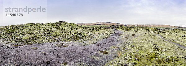 Island  moosige Lavafelder