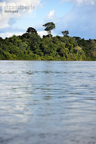 Brasilien  Para  Rio Tapajos und Amazonas Regenwald