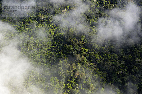 Brasilien  Para  Amazonas Regenwald und Wolken