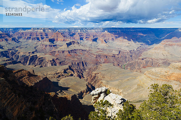 USA  Arizona  Grand Canyon Nationalpark