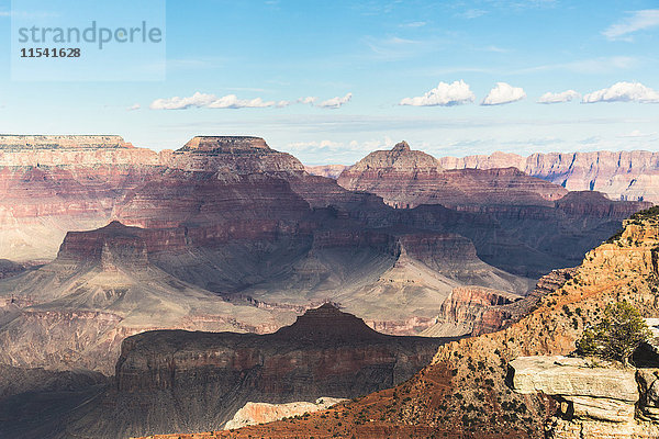 USA  Arizona  Grand Canyon Nationalpark