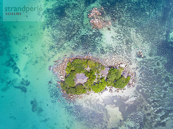Seychellen  Praslin  Chauve Souris Insel