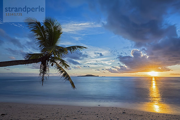 Seychellen  Praslin  Anse Kerlan  Kokospalme und Cousin Island bei Sonnenuntergang