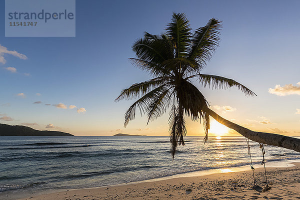 Seychellen  La Digue  Anse Fourmis  Strand mit Palme und Schaukel bei Sonnenuntergang