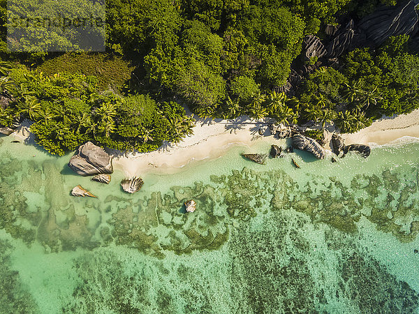 Seychellen  La Digue Island  Anse Source D'Argent  Luftaufnahme des Strandes