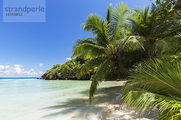 Seychellen  Pointe Varreur  Strand