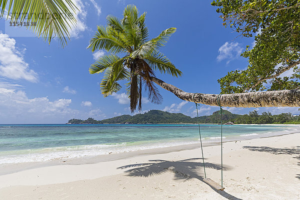 Seychellen  Insel Mahe  Strand Baie Lazare  Schaukel an Kokospalme hängend