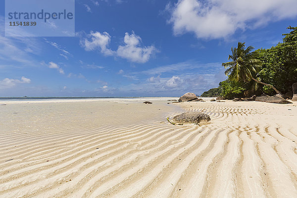 Seychellen  Indischer Ozean  Insel Mahe  Strand Anse Royale  Niedrigwasser