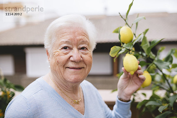 Porträt einer glücklichen Seniorin mit Zitrone von ihrem Zitronenbaum