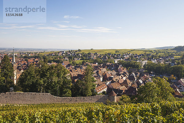 Frankreich  Elsass  Elsässische Weinstraße  Historisches Dorf Ribeauville  Weinberge  Herbst  Spätsommer