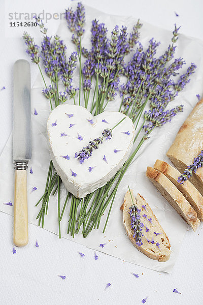 Französischer Kuhmilchkäse  herzförmig  Lavendelblüte  Baguette auf Serviette