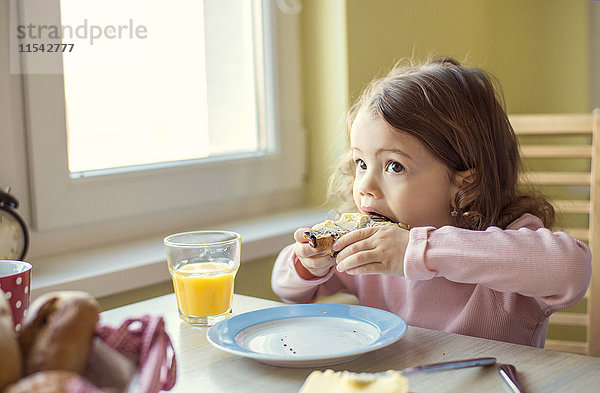 Porträt eines kleinen Mädchens  das ein Croissant am Frühstückstisch isst.