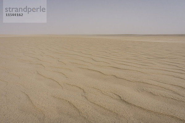 UAE  Rub' al Khali  Wellenspuren im Wüstensand
