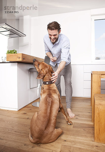 Mann mit seinem Rhodesian Ridgeback in der Küche