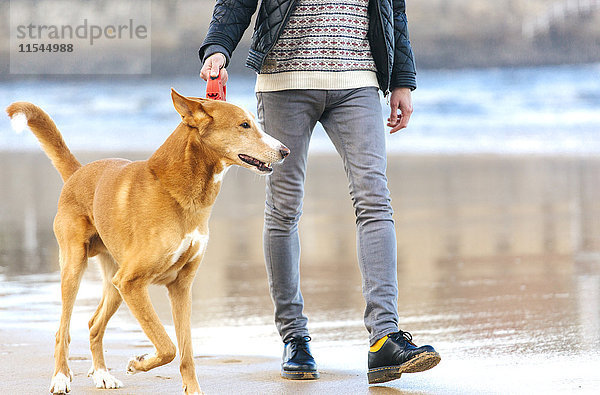 Mann  der mit seinem Hund am Strand spazieren geht.