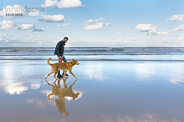 Mann  der mit seinem Hund am Strand spazieren geht.