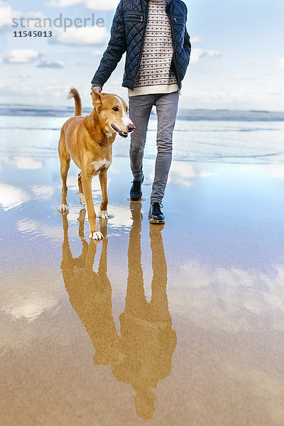 Mann  der mit seinem Hund am Strand spazieren geht.